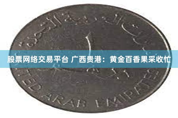 股票网络交易平台 广西贵港：黄金百香果采收忙