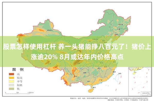 股票怎样使用杠杆 养一头猪能挣八百元了！猪价上涨逾20% 8月或达年内价格高点