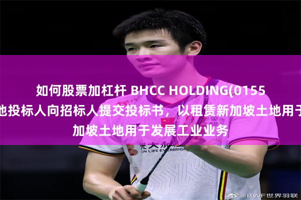 如何股票加杠杆 BHCC HOLDING(01552)附属连同其他投标人向招标人提交投标书，以租赁新加坡土地用于发展工业业务