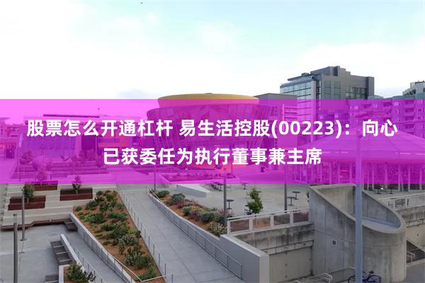 股票怎么开通杠杆 易生活控股(00223)：向心已获委任为执行董事兼主席