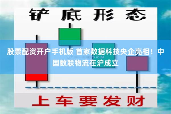 股票配资开户手机版 首家数据科技央企亮相！中国数联物流在沪成立