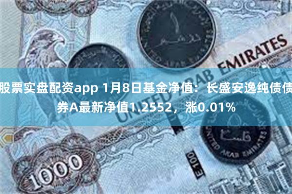 股票实盘配资app 1月8日基金净值：长盛安逸纯债债券A最新净值1.2552，涨0.01%